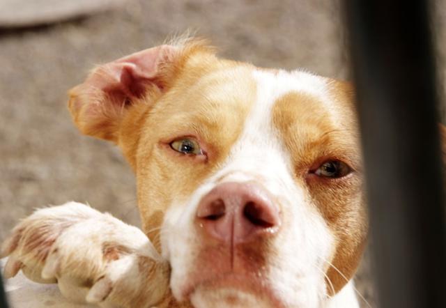 multimedia-foto36977-853-3