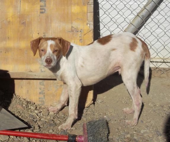 multimedia-foto36978-55-3