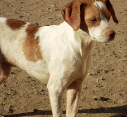 multimedia-foto36979-250-3