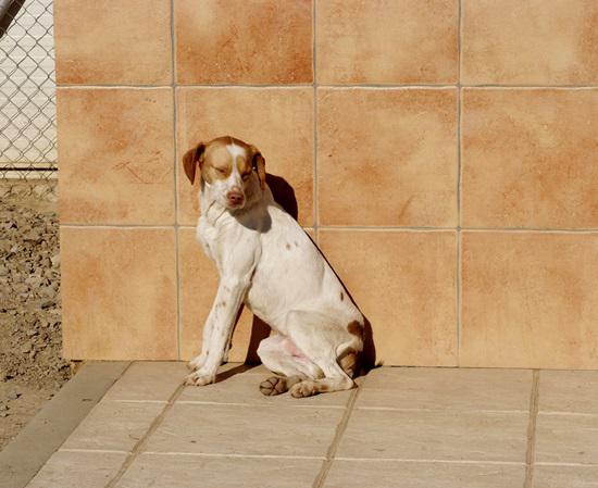 multimedia-foto36980-422-3