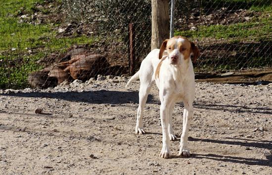 multimedia-foto36981-576-3