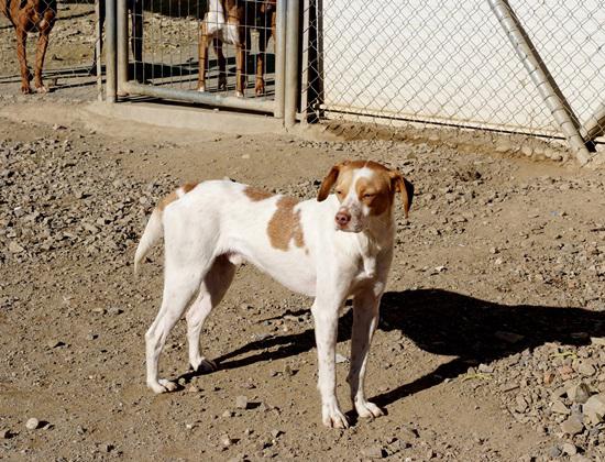 multimedia-foto36982-706-3