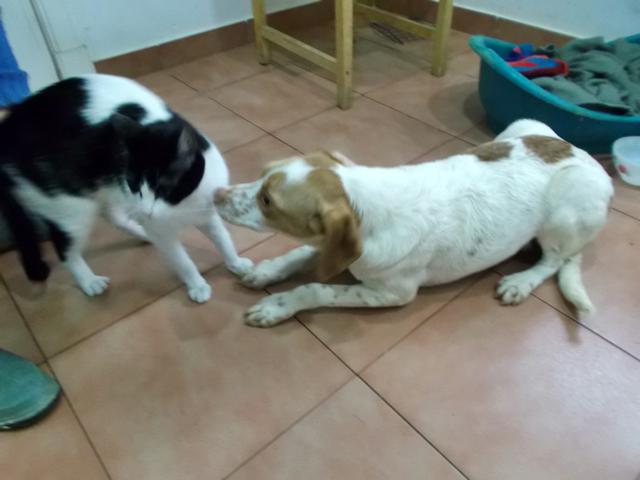 multimedia-foto36983-818-3