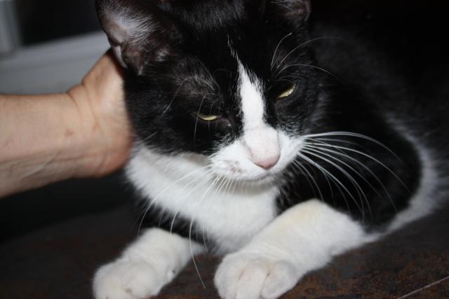 multimedia-foto36995-865-3