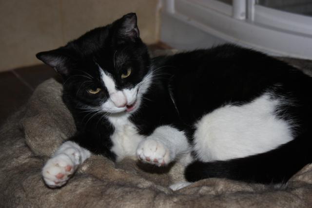 multimedia-foto36996-67-3