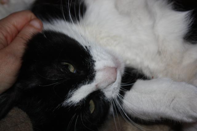 multimedia-foto36997-261-3