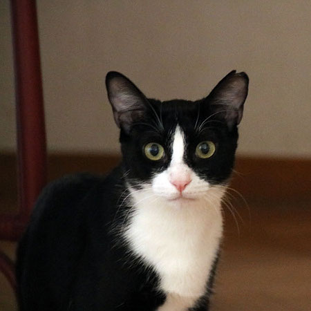 multimedia-foto36999-585-3