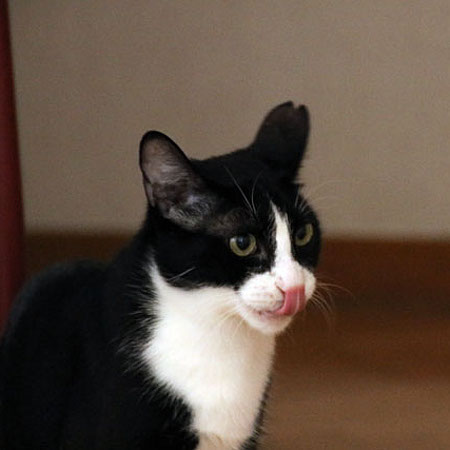 multimedia-foto37000-715-3