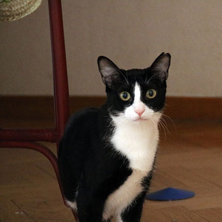 multimedia-foto37001-825-3