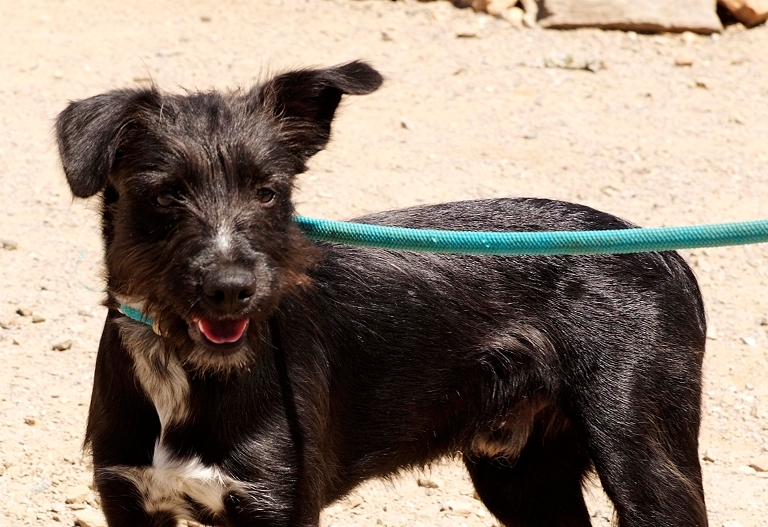 multimedia-foto37058-479-3