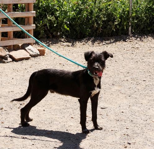 multimedia-foto37060-917-3