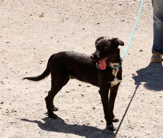 multimedia-foto37061-116-3