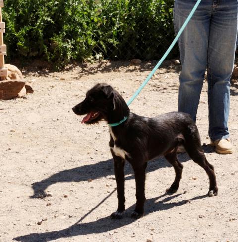 multimedia-foto37062-303-3