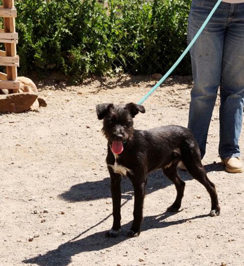 multimedia-foto37065-743-3