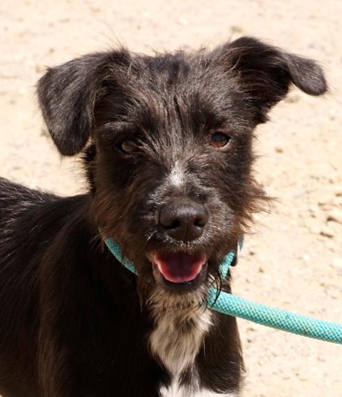 multimedia-foto37066-848-3