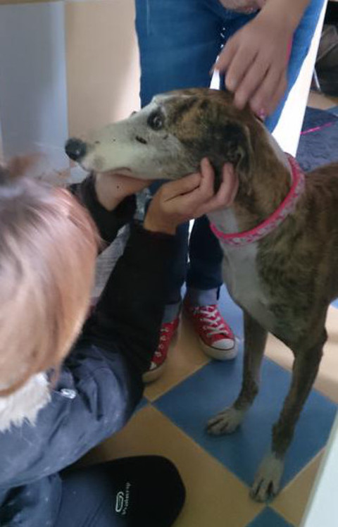 multimedia-foto37068-710-3