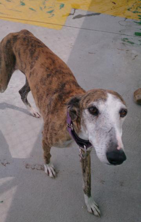 multimedia-foto37069-924-3