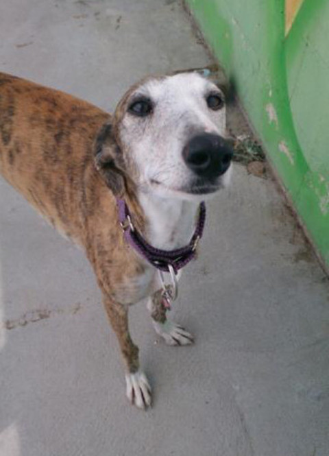 multimedia-foto37070-122-3