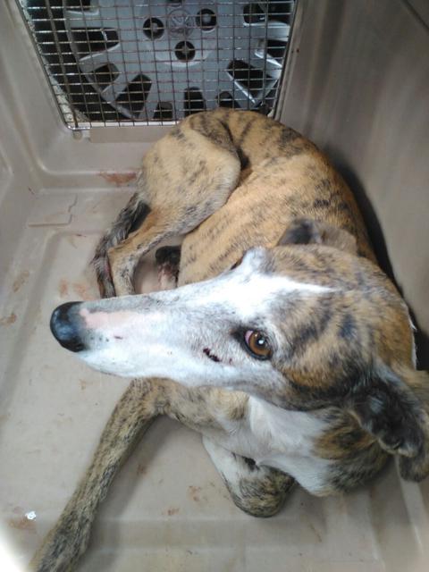 multimedia-foto37071-310-3