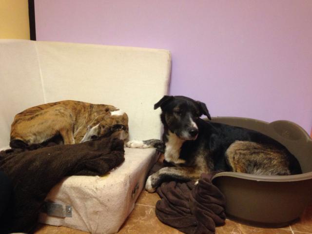 multimedia-foto37072-478-3