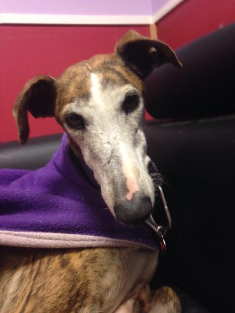 multimedia-foto37074-749-3