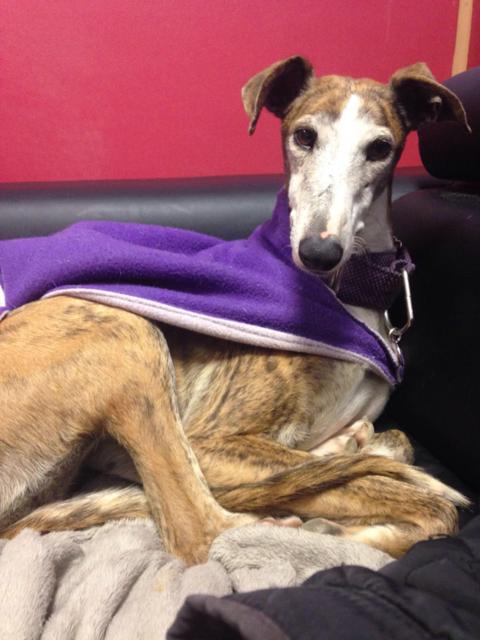 multimedia-foto37075-851-3