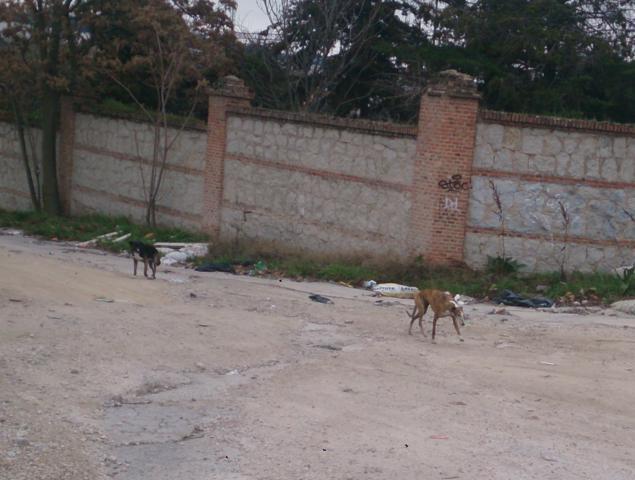 multimedia-foto37077-956-3