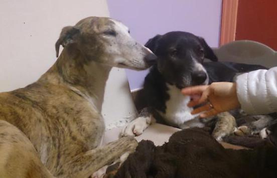 multimedia-foto37079-32-3