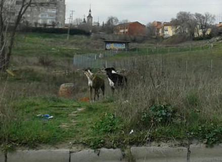 multimedia-foto37080-60-3