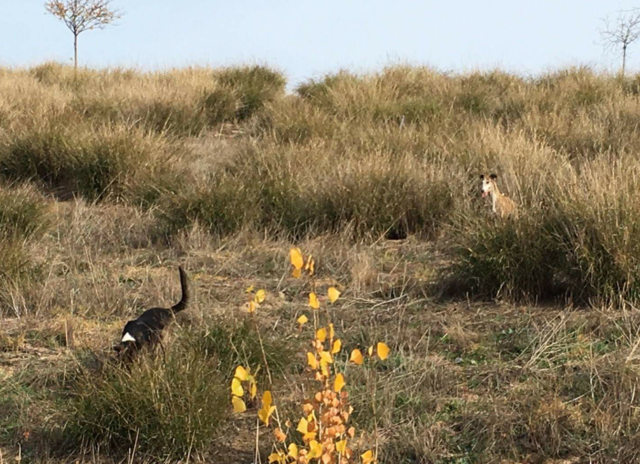 multimedia-foto37083-122-3