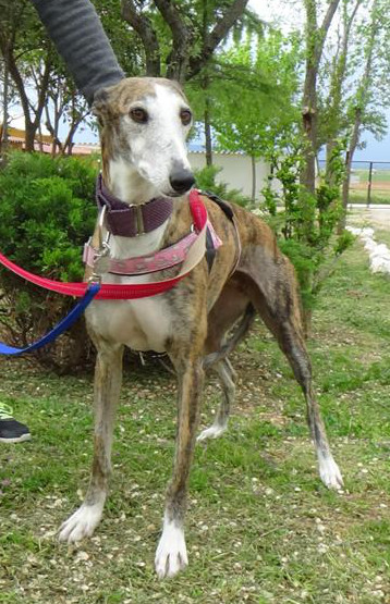 multimedia-foto37084-134-3