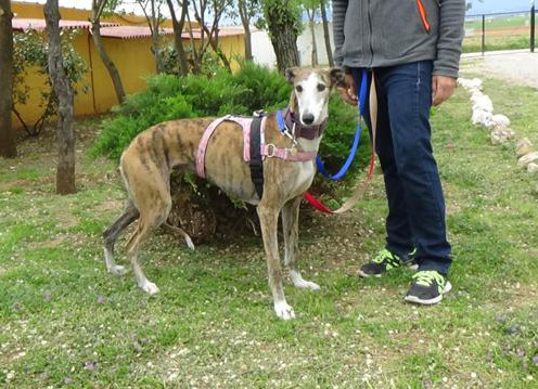 multimedia-foto37085-139-3