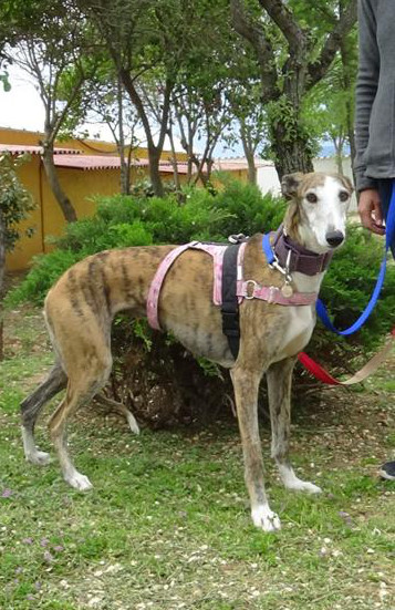 multimedia-foto37086-143-3