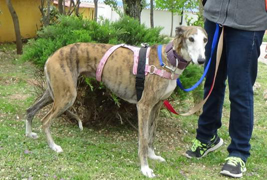 multimedia-foto37087-146-3