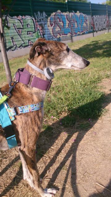 multimedia-foto37090-153-3