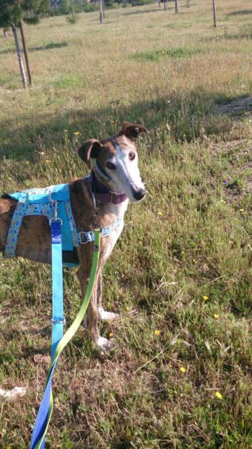 multimedia-foto37092-156-3