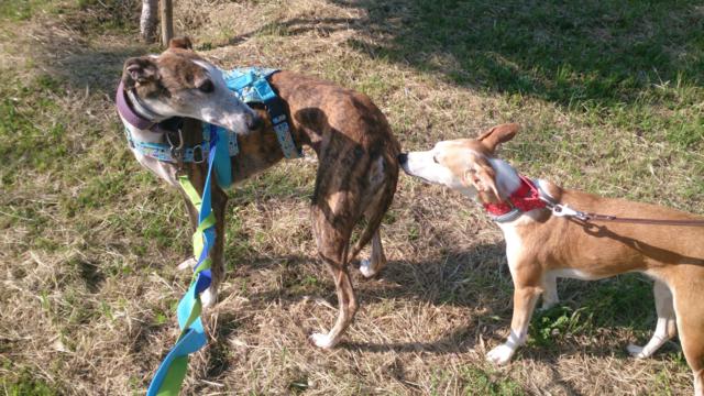 multimedia-foto37093-158-3