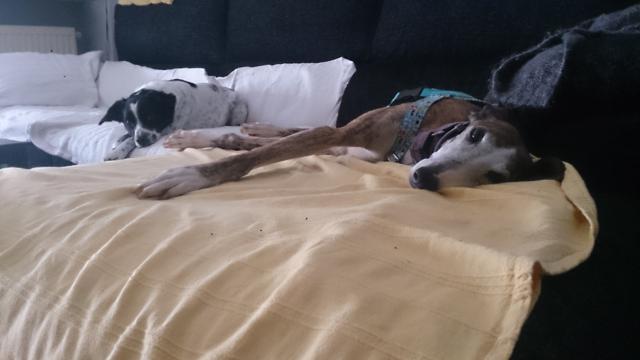 multimedia-foto37095-159-3