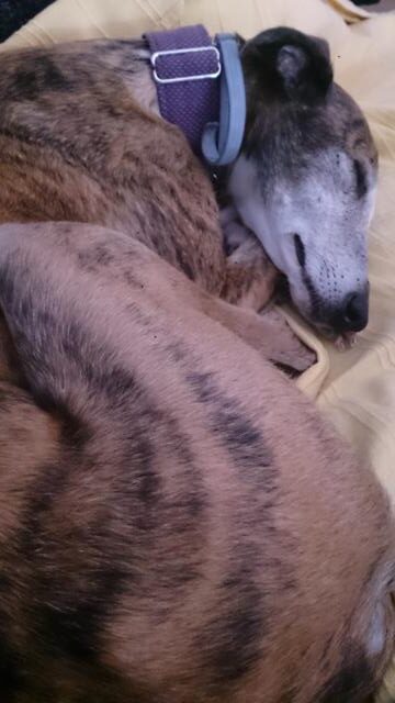 multimedia-foto37096-160-3