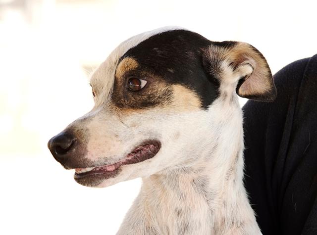 multimedia-foto37106-525-3