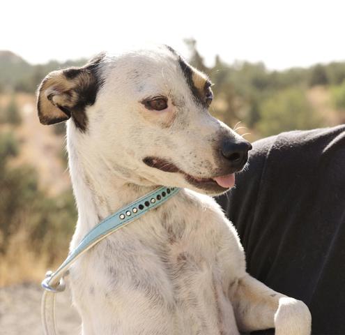 multimedia-foto37107-745-3