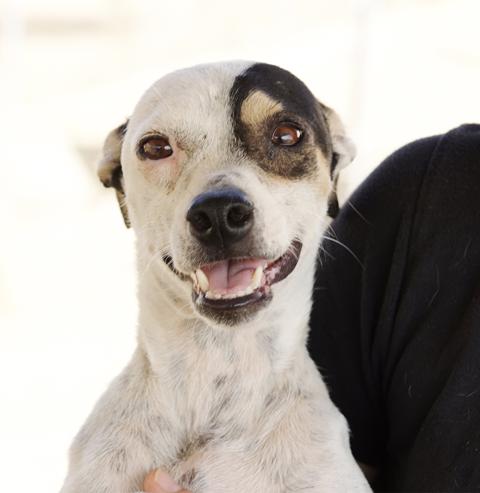 multimedia-foto37108-957-3