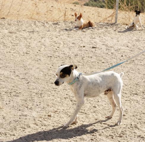 multimedia-foto37109-156-3