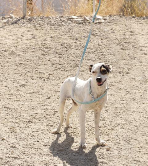 multimedia-foto37110-338-3