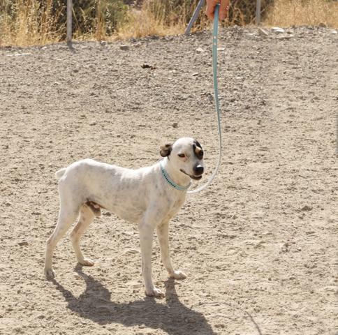 multimedia-foto37111-503-3