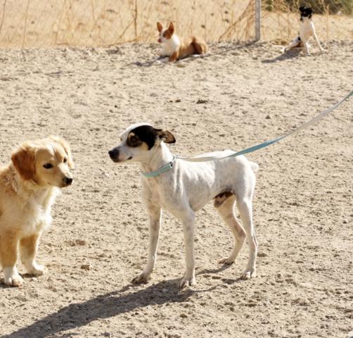 multimedia-foto37112-647-3