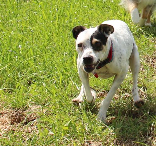 multimedia-foto37116-965-3