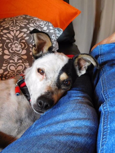 multimedia-foto37117-6-3