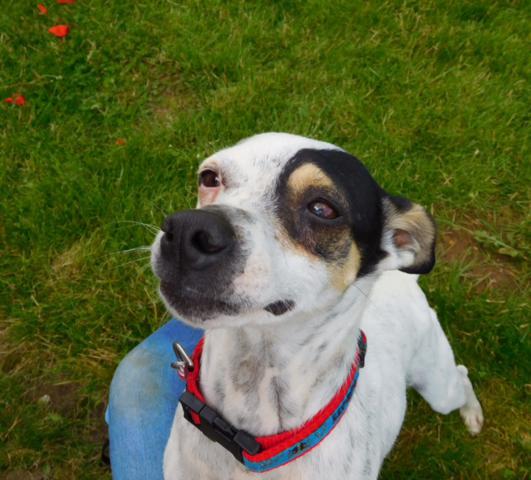 multimedia-foto37118-39-3