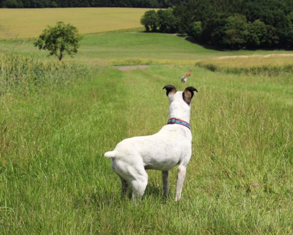 multimedia-foto37119-67-3